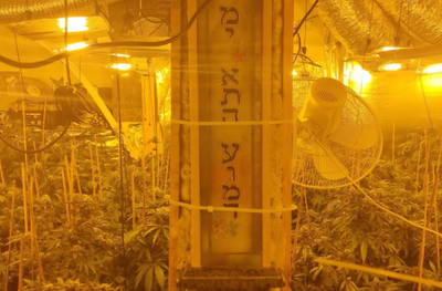 מעבדת סמים גדולה הוקמה בבית הכנסת