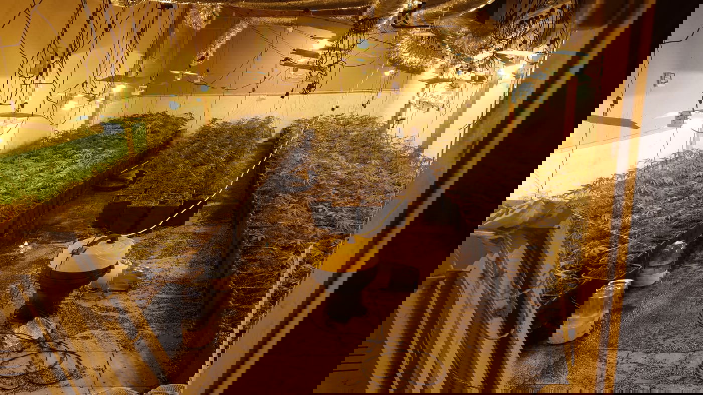 מעבדת סמים גדולה הוקמה בבית הכנסת