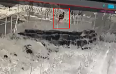 צפו: כך חדר המחבל אל תוך היישוב תקוע