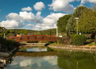 אילוטסטרציה