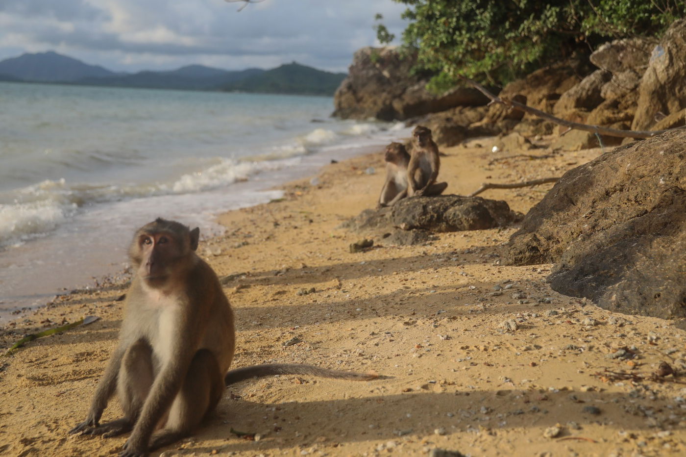 צלם 'כיכר' מגיש: כך נראית חופשה בתאילנד