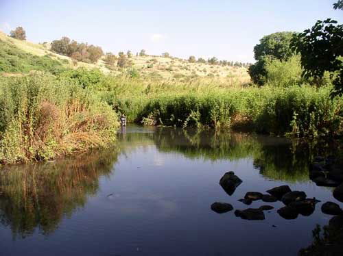רטוב, מסעיר, ומעט אתגרי: הכירו את מסלול עין תינה (עין נוטרה)
