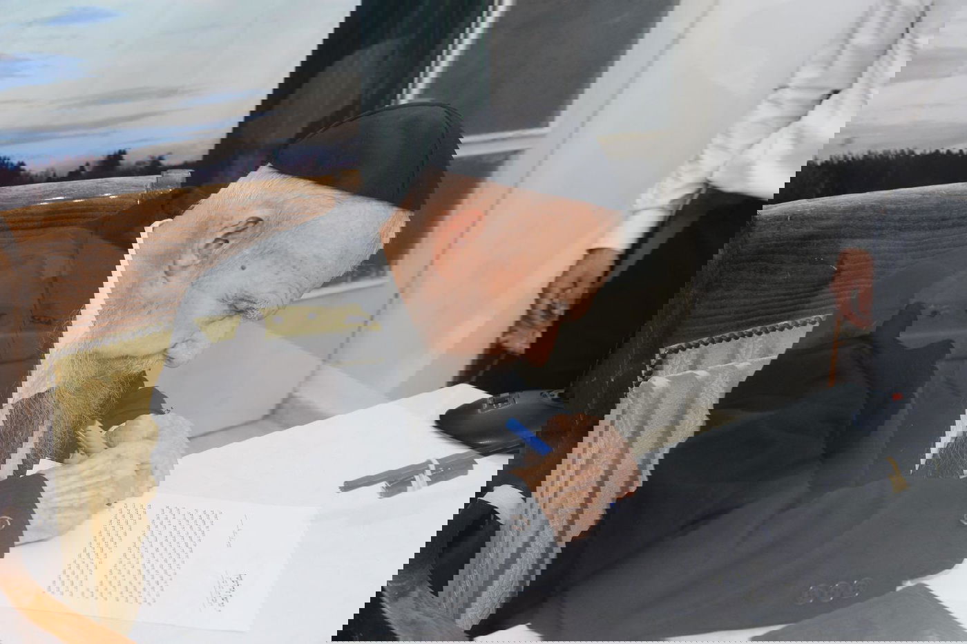 נציגי הרשויות לחקלאים: "שמרתם חצי שמיטה? מספיק!"