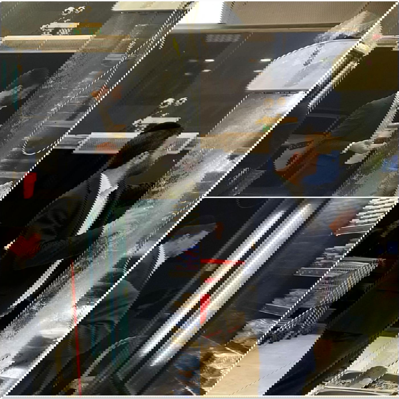 זופניק בכיכר • כל התמונות והנייעס של השבוע