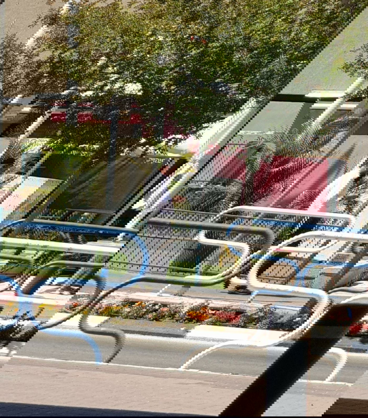 זופניק בכיכר • כל התמונות והנייעס של השבוע