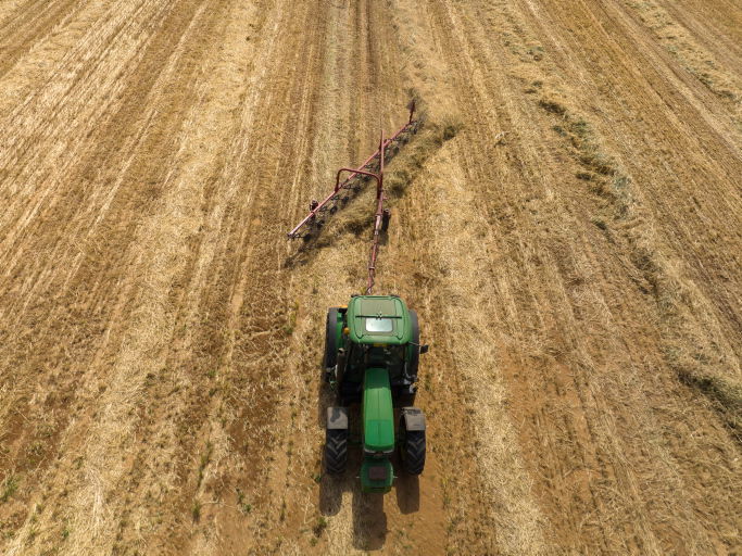 פרשת בהר: שמיטה  סמל של מסירות נפש