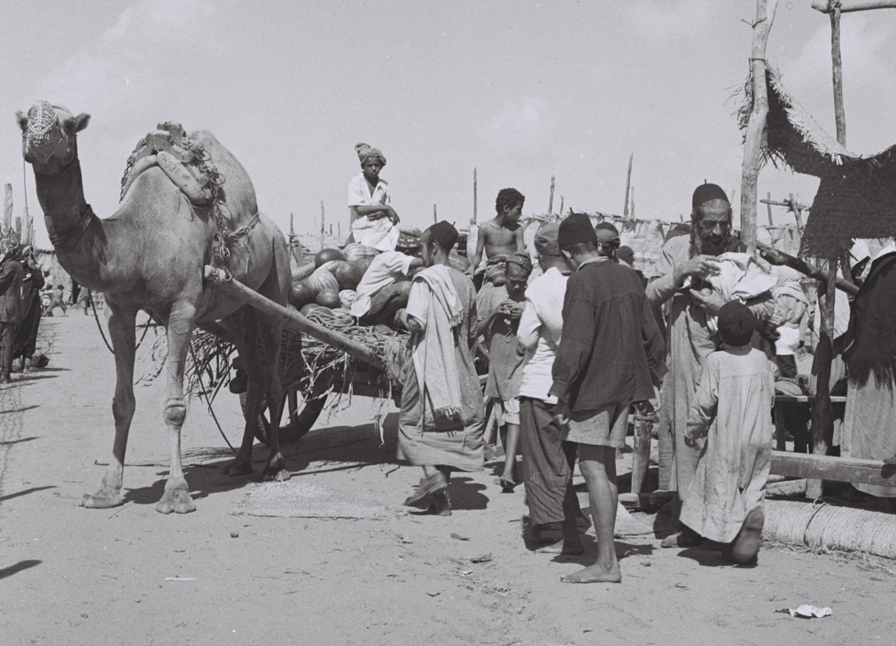 אילוסטרציה