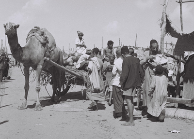 אילוסטרציה