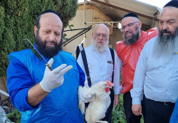 קורס השחיטה של מכון עליה פועל כבר למעלה מעשור