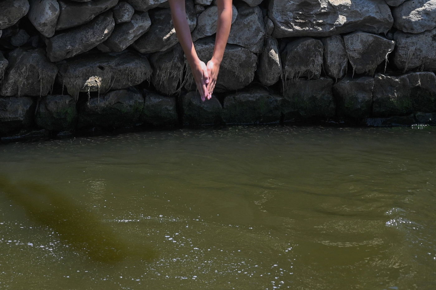 טבילה במעין; אילוסטרציה