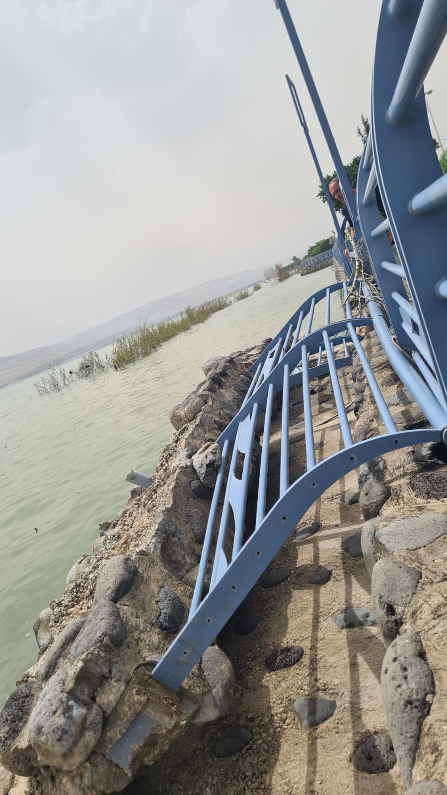 סופה קשה בטבריה: עצים קרסו, החופים נסגרו