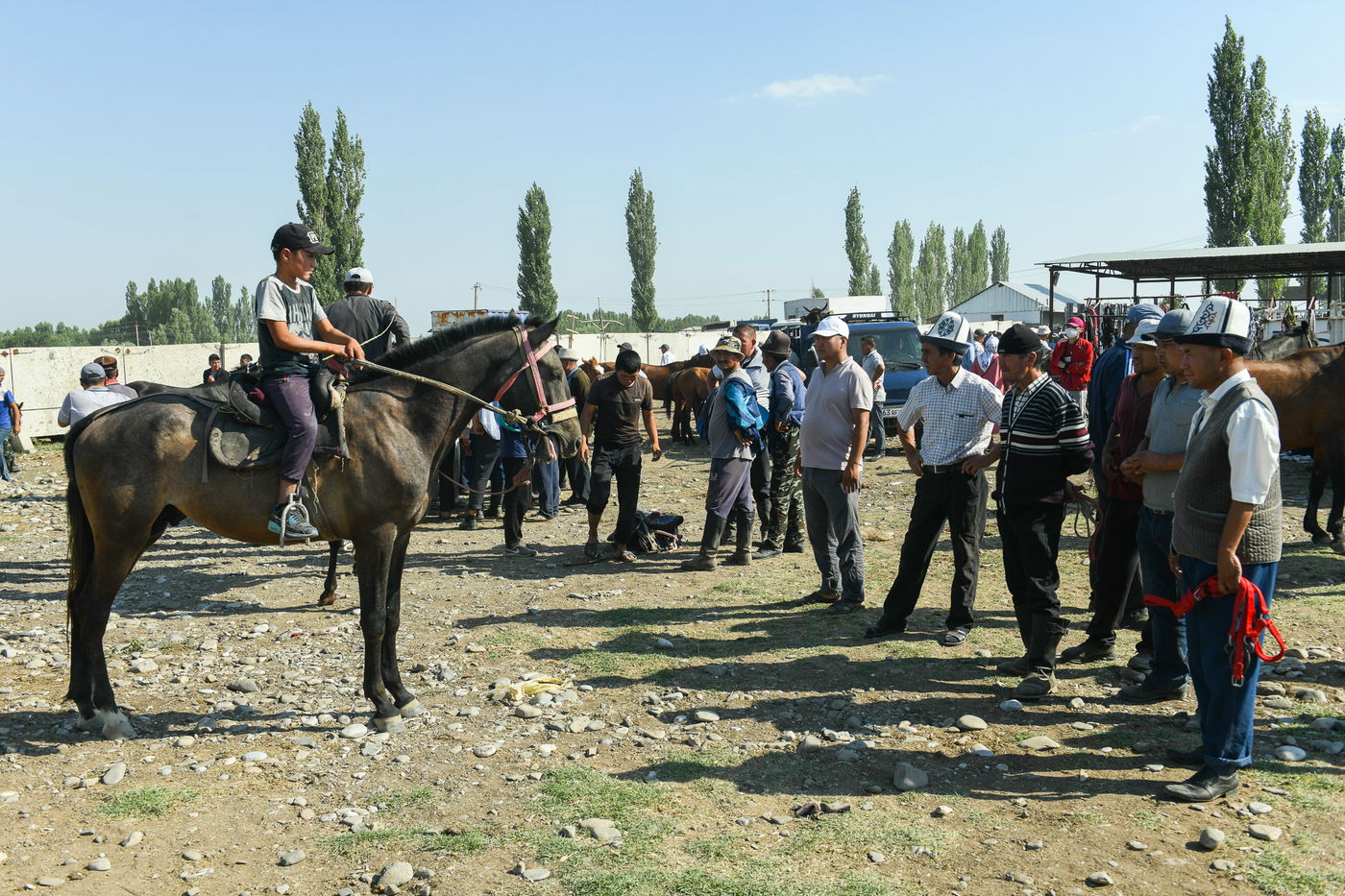 הצצה נדירה ומיוחדת למדינת קירגיזסטן • צפו