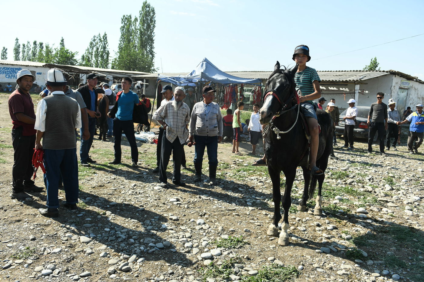 הצצה נדירה ומיוחדת למדינת קירגיזסטן • צפו