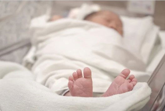 רוצים נכד לשחק איתו