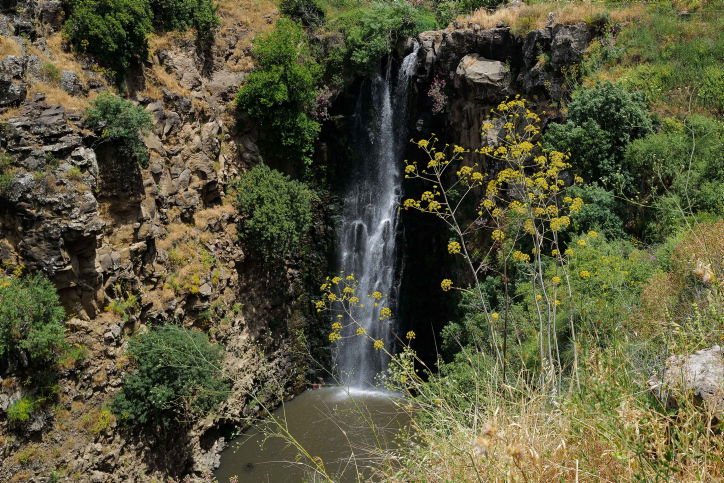 מפל הג'ילבון בגולן