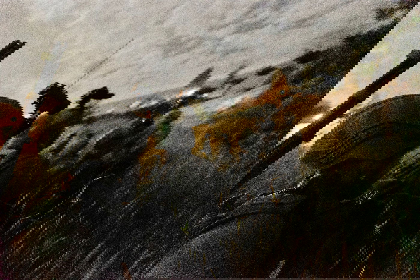 צה"ל נכנס למחנות הפליטים ועצר מבוקשים