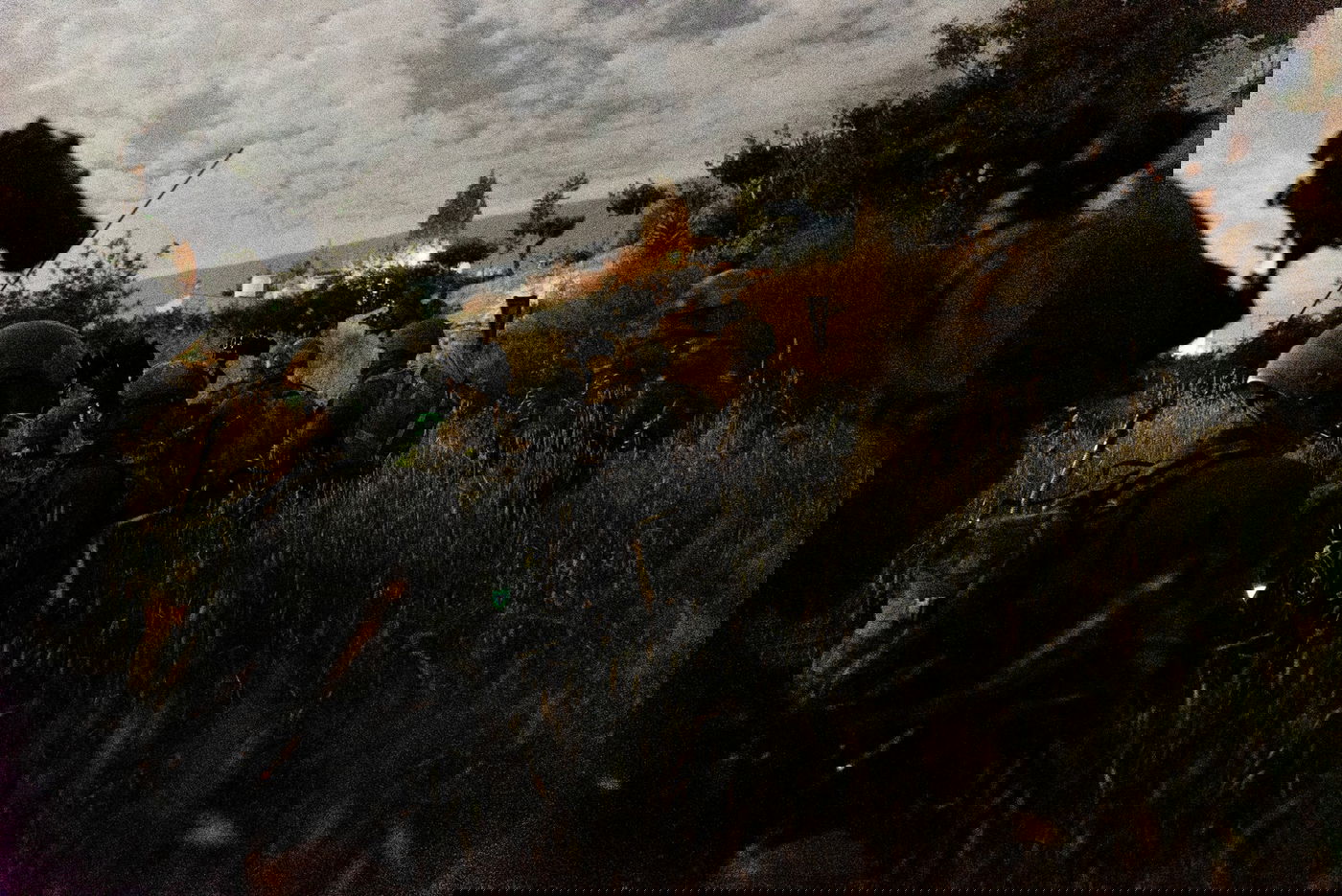 צה"ל נכנס למחנות הפליטים ועצר מבוקשים