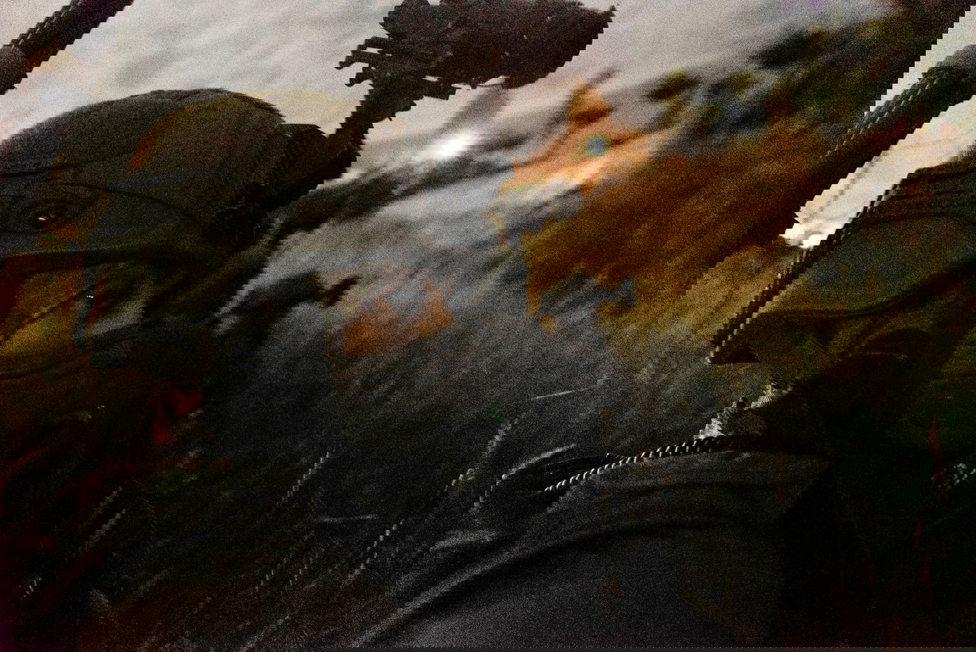 צה"ל נכנס למחנות הפליטים ועצר מבוקשים