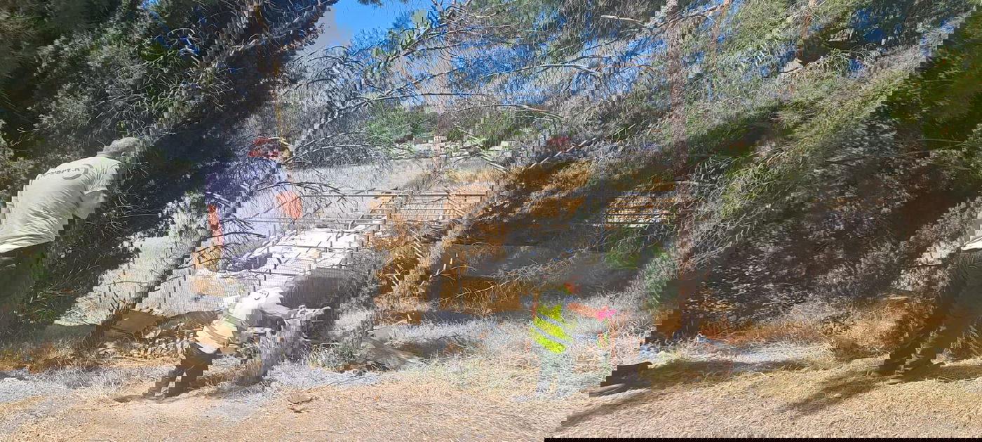 עשרות מדורות לא מאושרות פורקו בירושלים