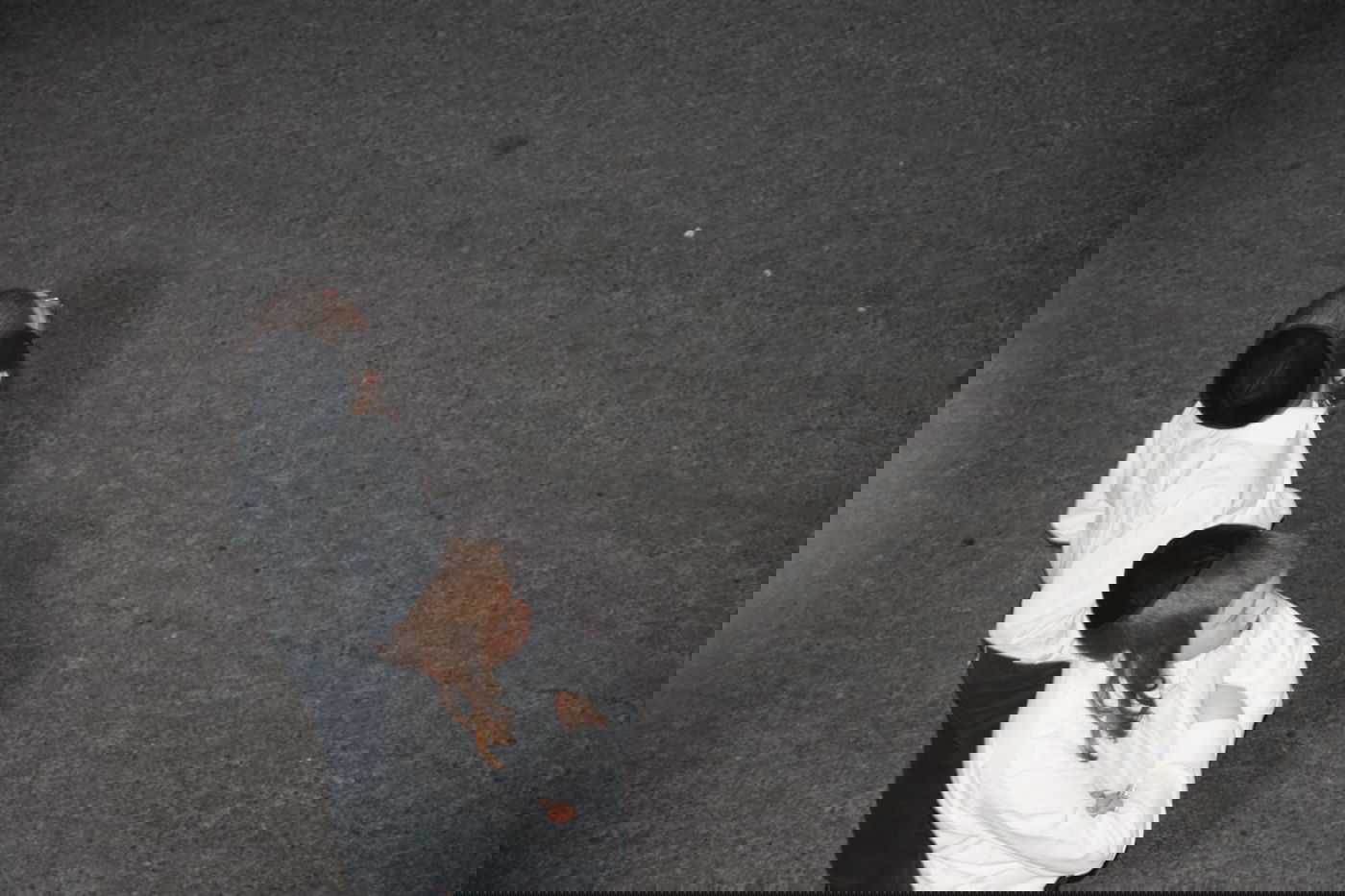 בראשות האדמו"ר: אלפים בהדלקה בתולדות אהרן