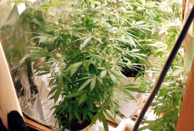 המעבדה שנתפסה