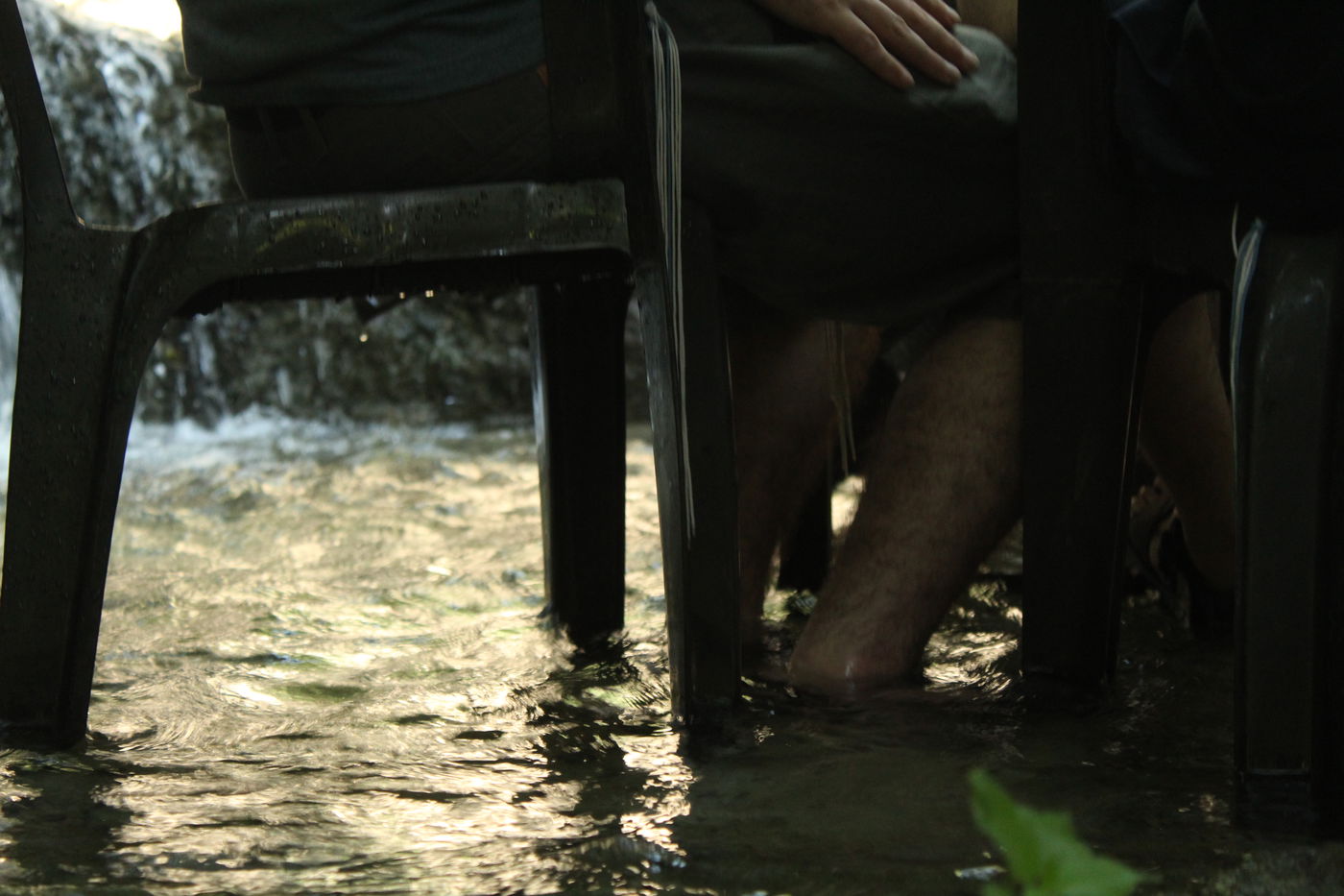 "טובל במים רגלו" (ע"פ דברים לג כד)