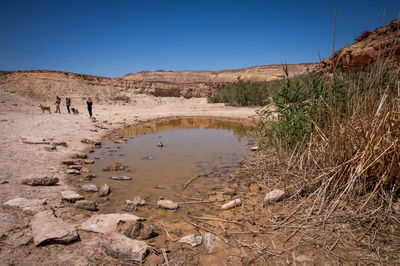 התחזית: התחממות, בשבת - חם עד שרבי
