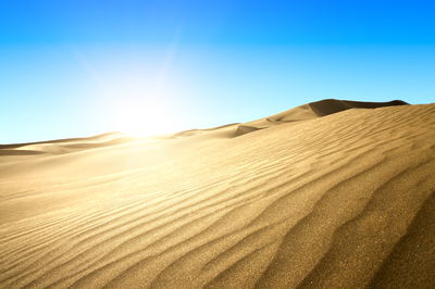 ממדבר-מתנה / הרב אבי אברהם על הפרשה
