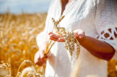 בגד לבן בחג. יש מנהג כזה?