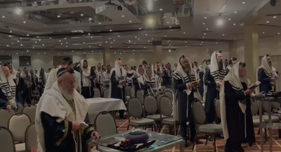 הרבנים בהלל