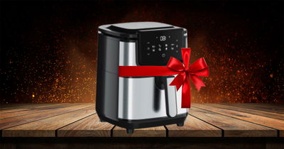 AIRFRYER - סיר הטיגון באוויר המושלם מבית אלקטרולוקס