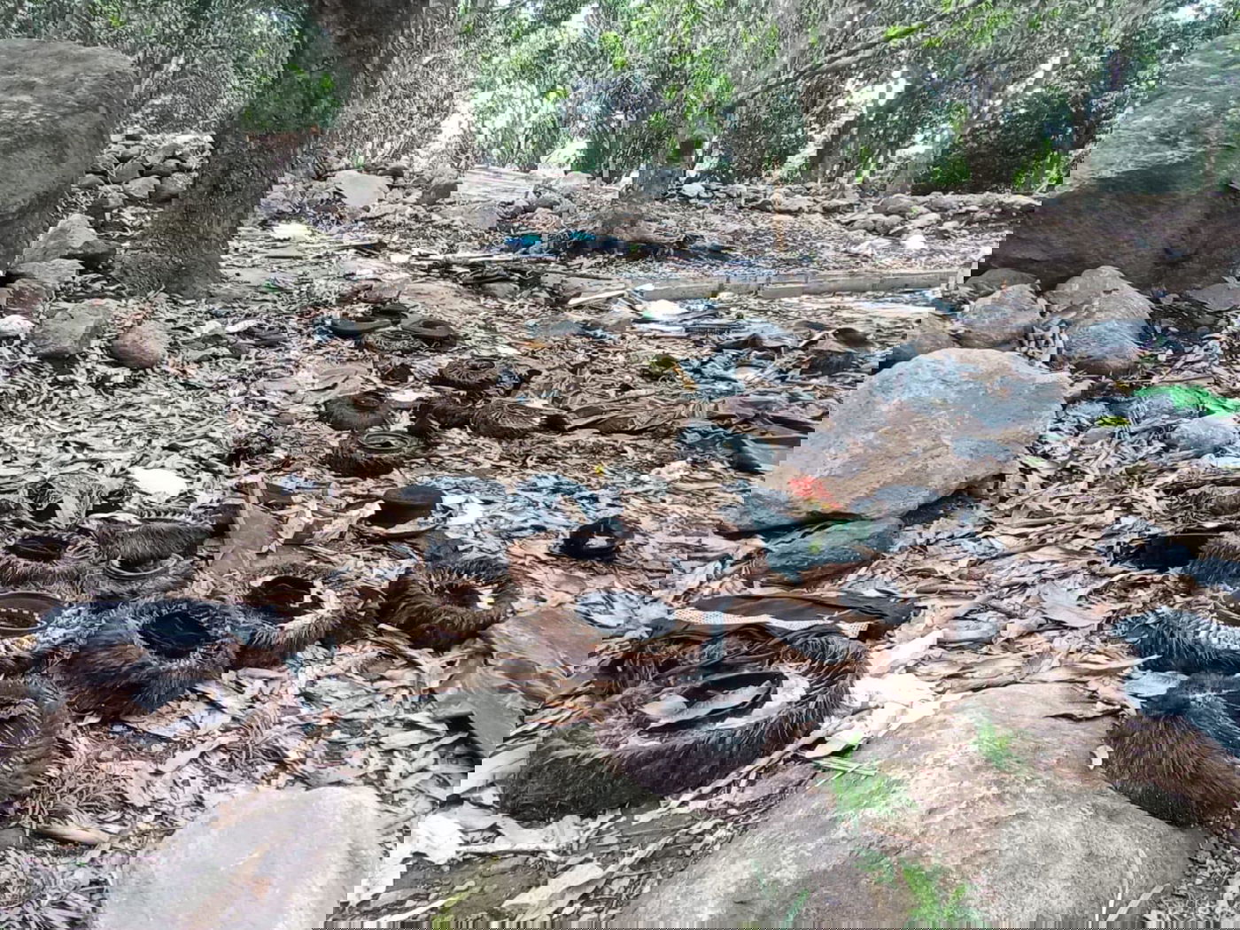 עשרות שטריימלים אותרו במתחם כת 'לב טהור' בגואטמלה