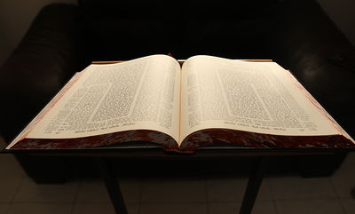 פרופיל מיוחד: שבעת הישיבישער'ס שעושים שטייגען בשבועות