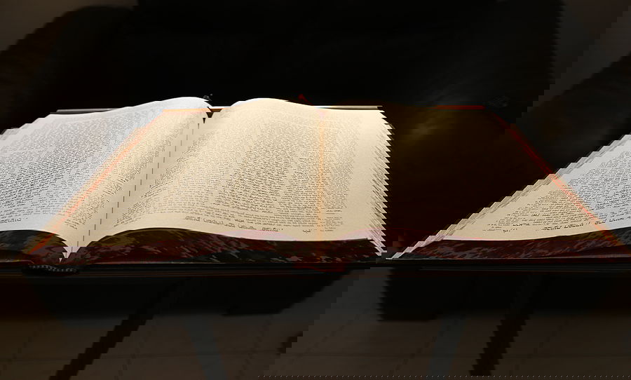 פרופיל מיוחד: שבעת הישיבישער'ס שעושים שטייגען בשבועות