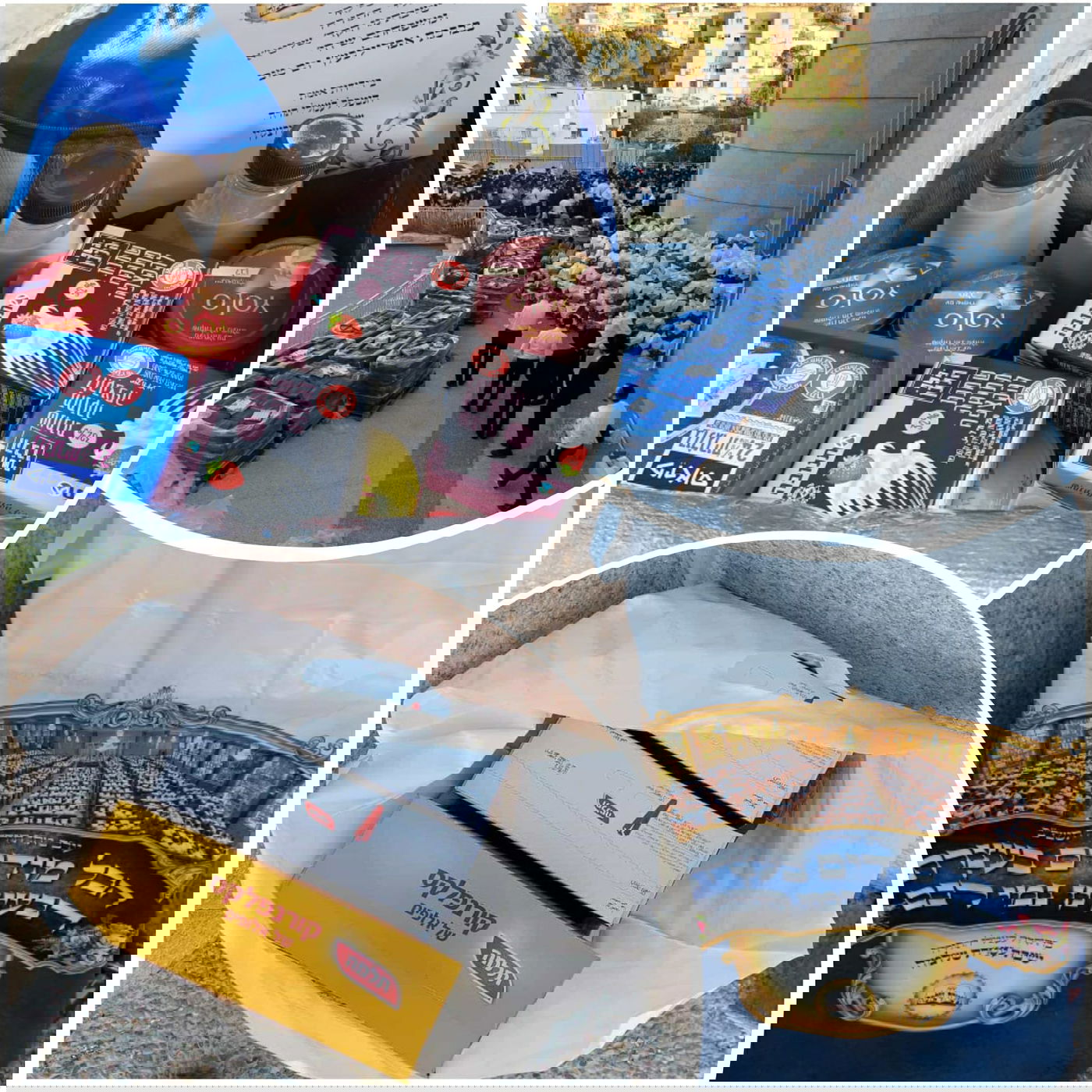 זופניק בכיכר • כל התמונות והנייעס של השבוע