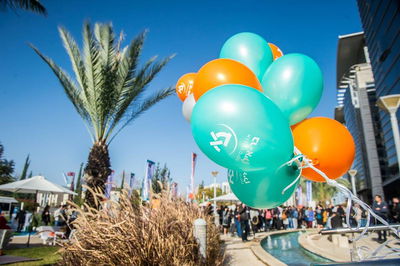 מסלולים מבוקשים לנשים באונ' בר-אילן