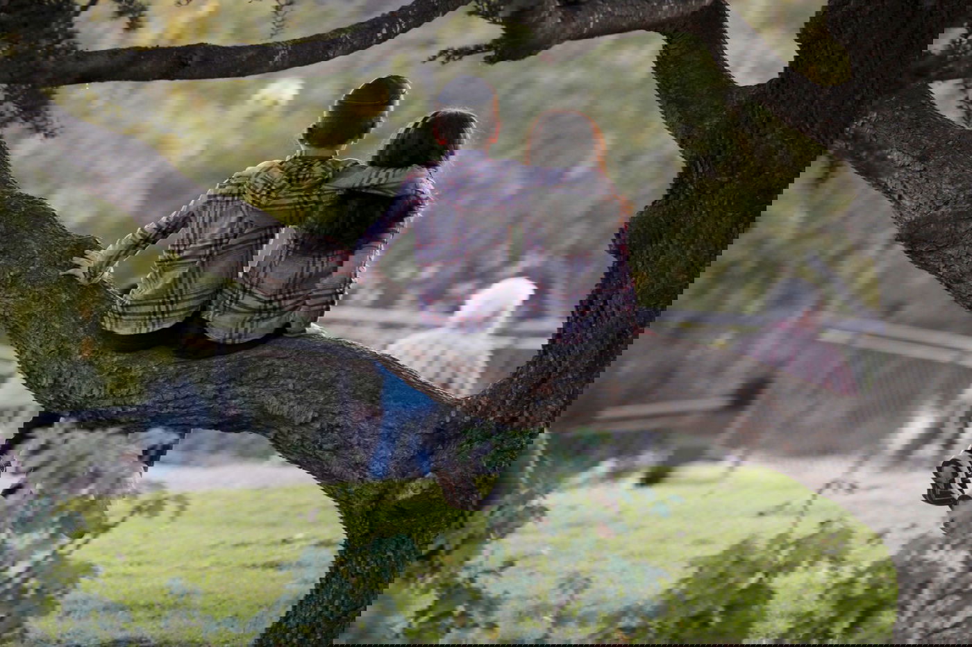 אילוסטרציה