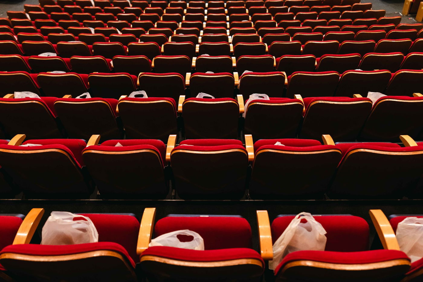 אלפים בכנס ההיסטורי בראשות הגר"ש אלתר