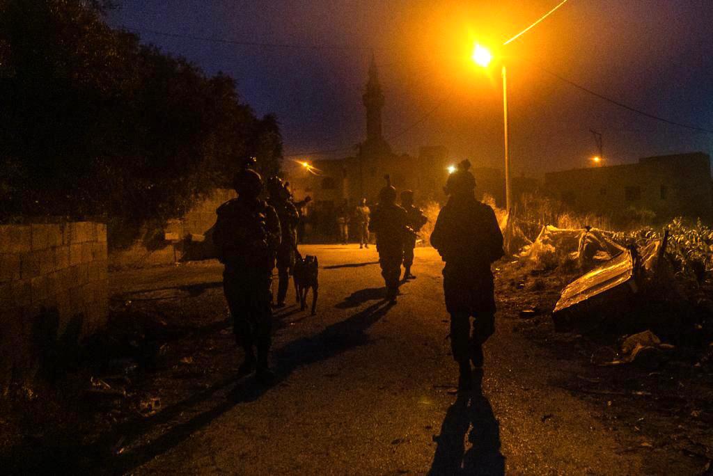 הלילה ביו"ש: 21 מבוקשים נעצרו • תיעוד