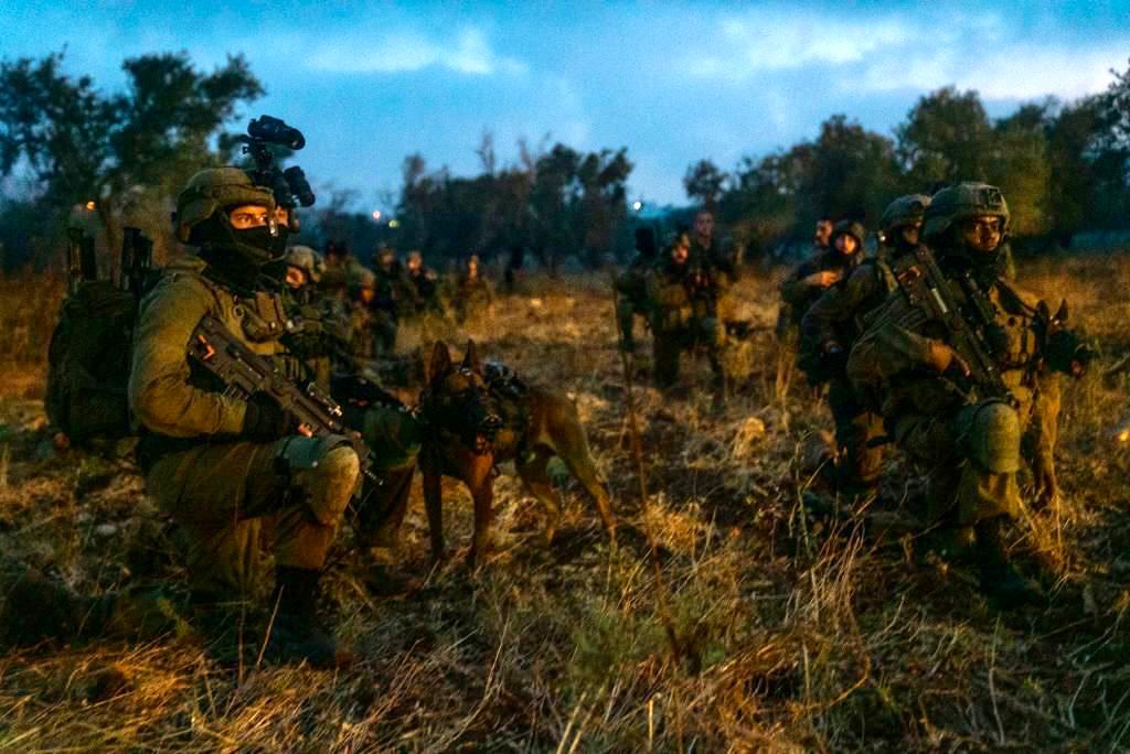 הלילה ביו"ש: 21 מבוקשים נעצרו • תיעוד