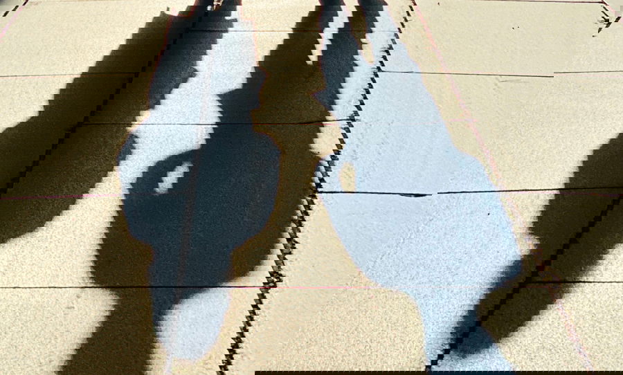 פגישת שידוכים; אילוסטרציה