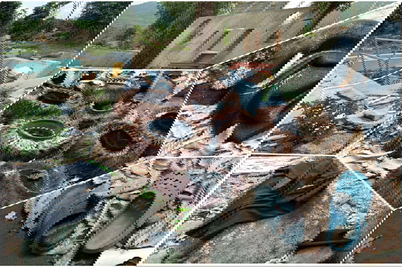 בית הכנסת, המקווה והביגוד