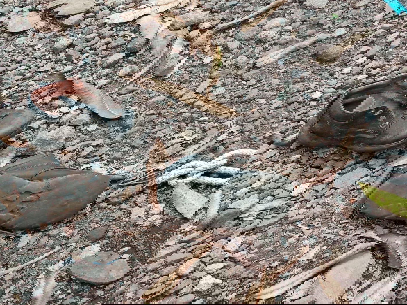 מקווה, בגדים ונעליים; כך נראה המתחם העזוב של כת 'לב טהור' בגואטמלה