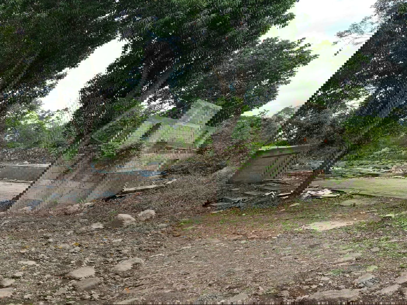 מקווה, בגדים ונעליים; כך נראה המתחם העזוב של כת 'לב טהור' בגואטמלה