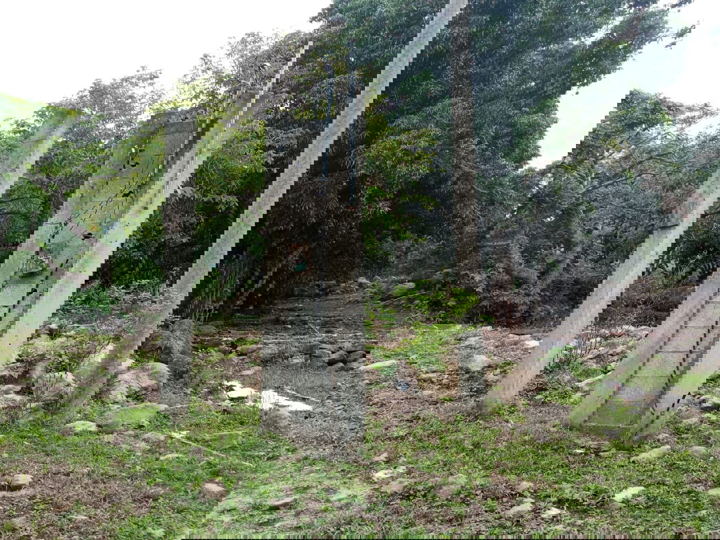 מקווה, בגדים ונעליים; כך נראה המתחם העזוב של כת 'לב טהור' בגואטמלה