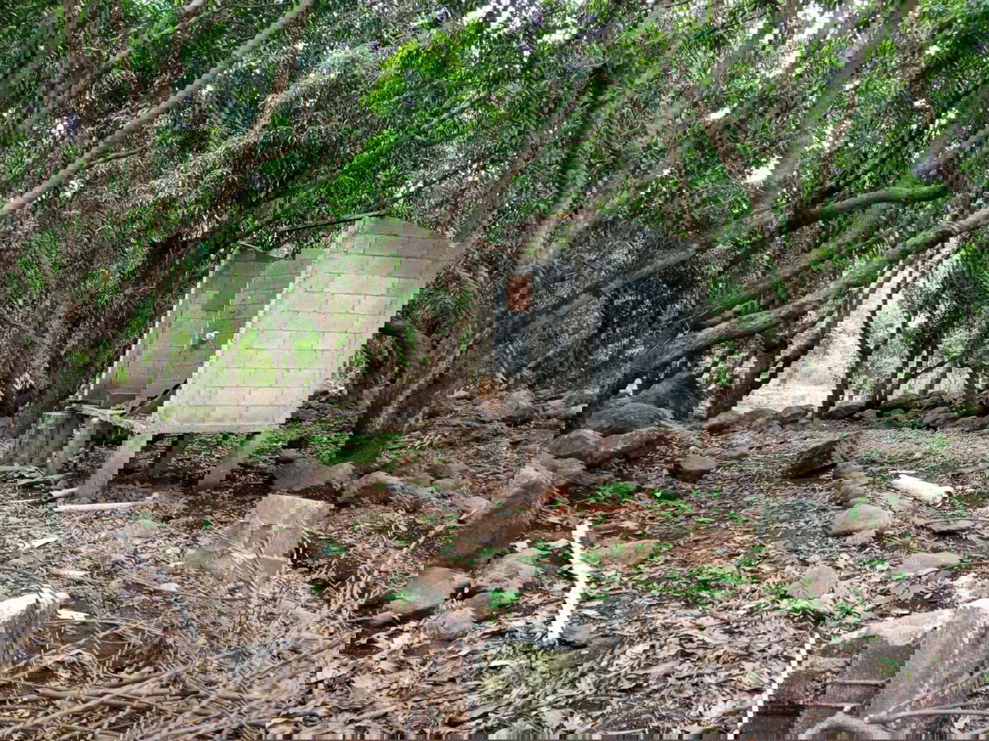 מקווה, בגדים ונעליים; כך נראה המתחם העזוב של כת 'לב טהור' בגואטמלה