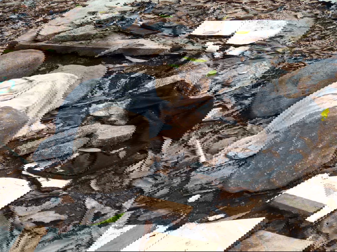 מקווה, בגדים ונעליים; כך נראה המתחם העזוב של כת 'לב טהור' בגואטמלה