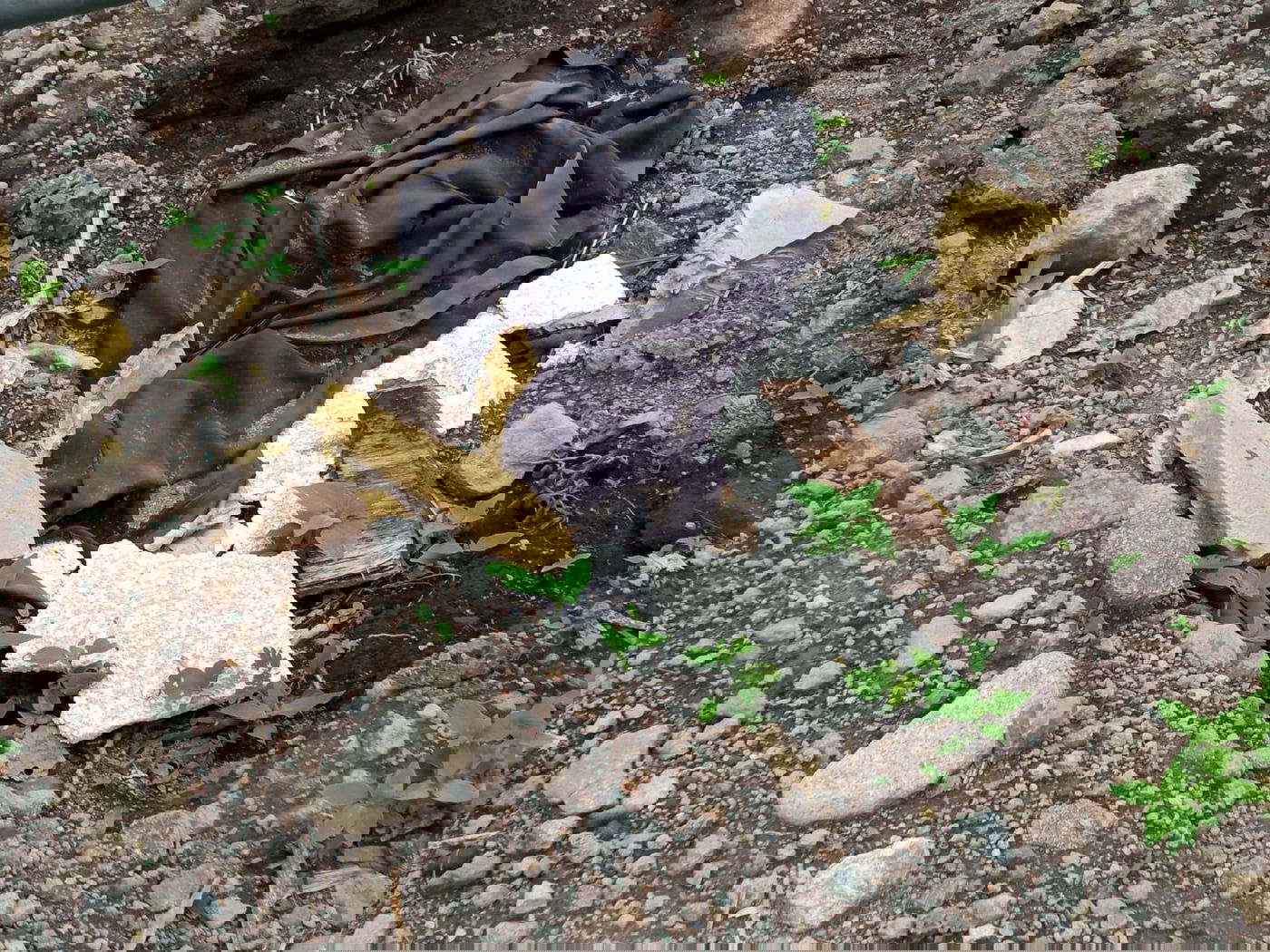 מקווה, בגדים ונעליים; כך נראה המתחם העזוב של כת 'לב טהור' בגואטמלה