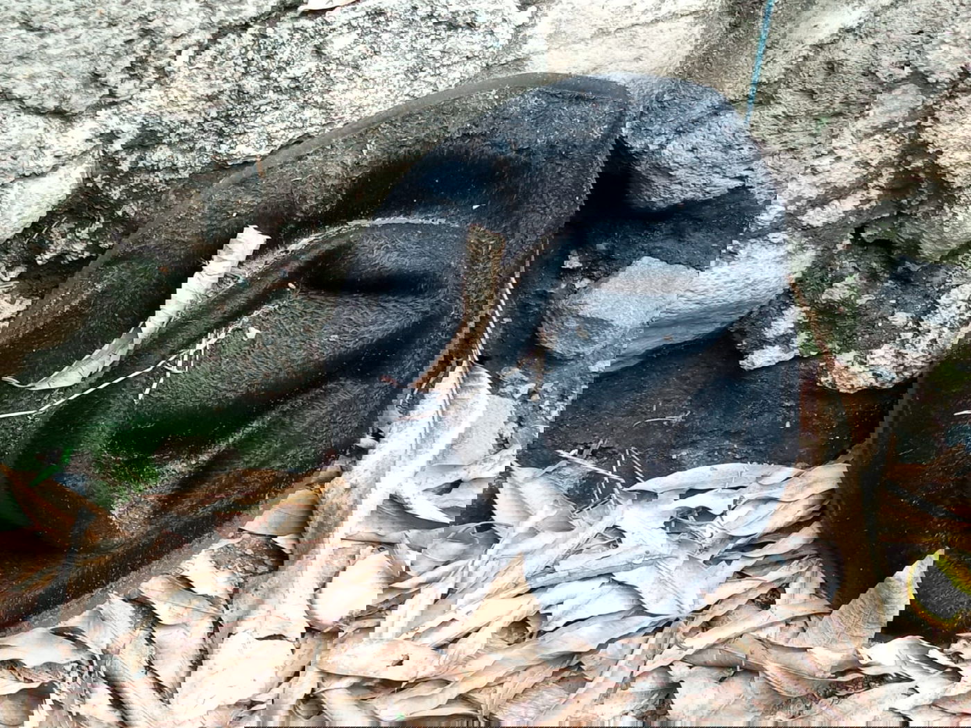 מקווה, בגדים ונעליים; כך נראה המתחם העזוב של כת 'לב טהור' בגואטמלה