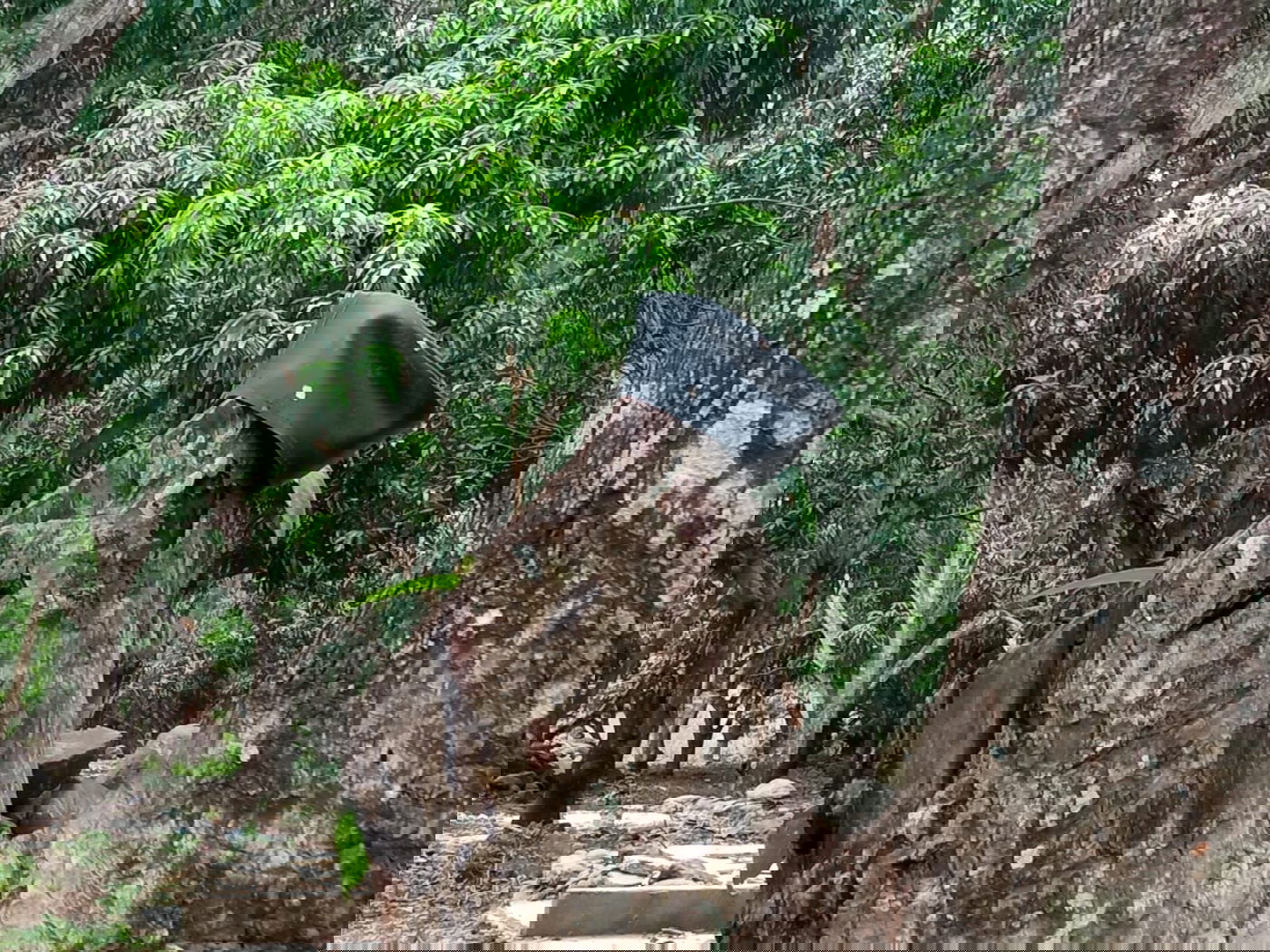 מקווה, בגדים ונעליים; כך נראה המתחם העזוב של כת 'לב טהור' בגואטמלה